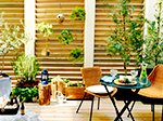 Outdoor Living